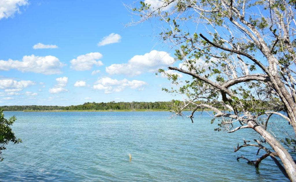 Laguna Azul, importante atractivo turístico de Felipe Carrillo Puerto