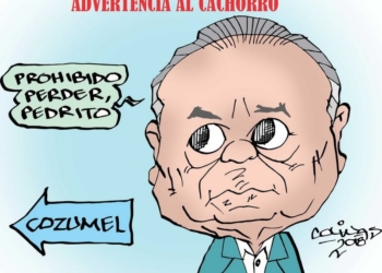 COLINAS: Advertencia al cachorro