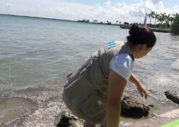 Analizan misteriosos sedimentos de la Bahía de Chetumal para determinar su origen