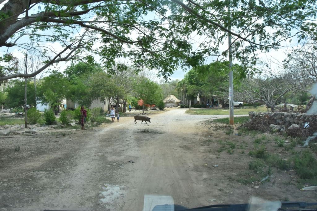 Sin calles, Kakabdzonot sigue padeciendo por abandono y desgobierno