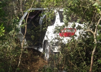 Sale de la carretera, se estampa contra un árbol, y se da a la fuga