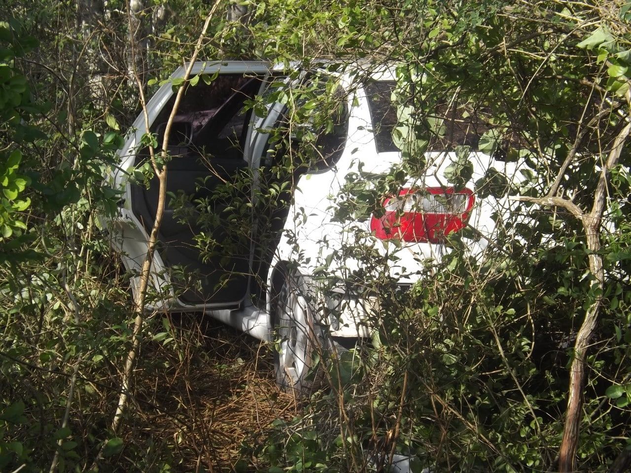 Sale de la carretera, se estampa contra un árbol, y se da a la fuga
