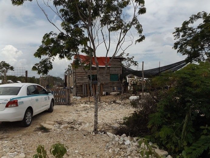 Ley de Protección de Arbolado, al acecho de grupos invasores