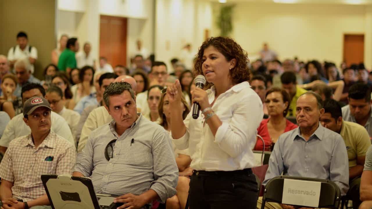 Podría considerarse al sargazo como desastre natural: Leslie Hendricks