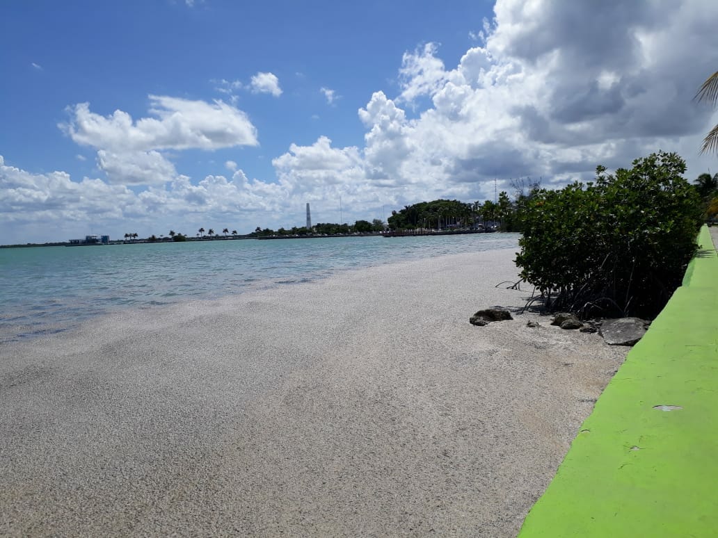 Asoma extraña mancha en la Bahía de Chetumal