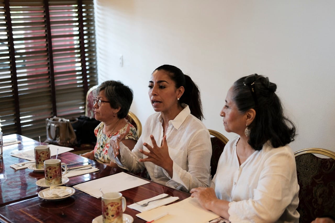 Cobijáremos a las ONGs y a sus proyectos, Marybel Villegas