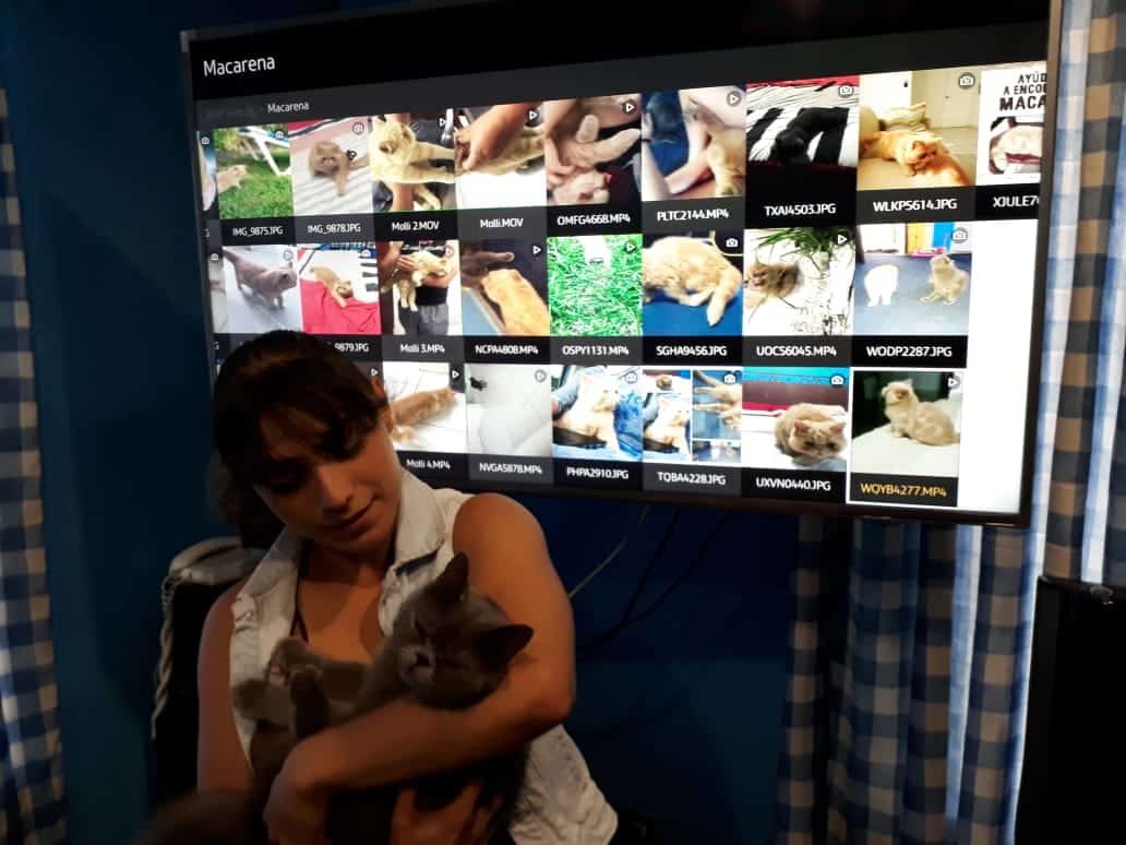 Lagunas legales impiden recuperar mascotas perdidas