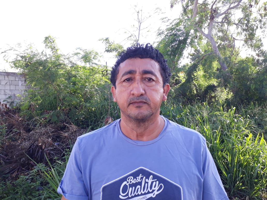 Apicultores exigen canales de comercialización