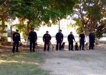 Refuerzan agrupamiento canino de la SSP