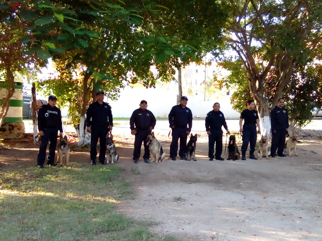 Refuerzan agrupamiento canino de la SSP