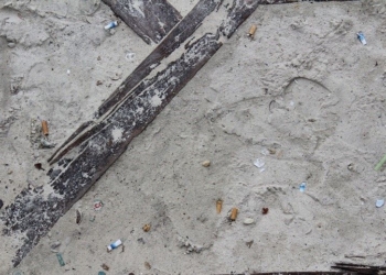 Colillas de cigarro, principal contaminante de las playas públicas
