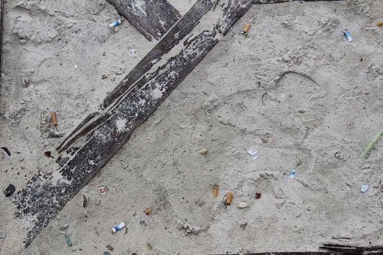 Colillas de cigarro, principal contaminante de las playas públicas