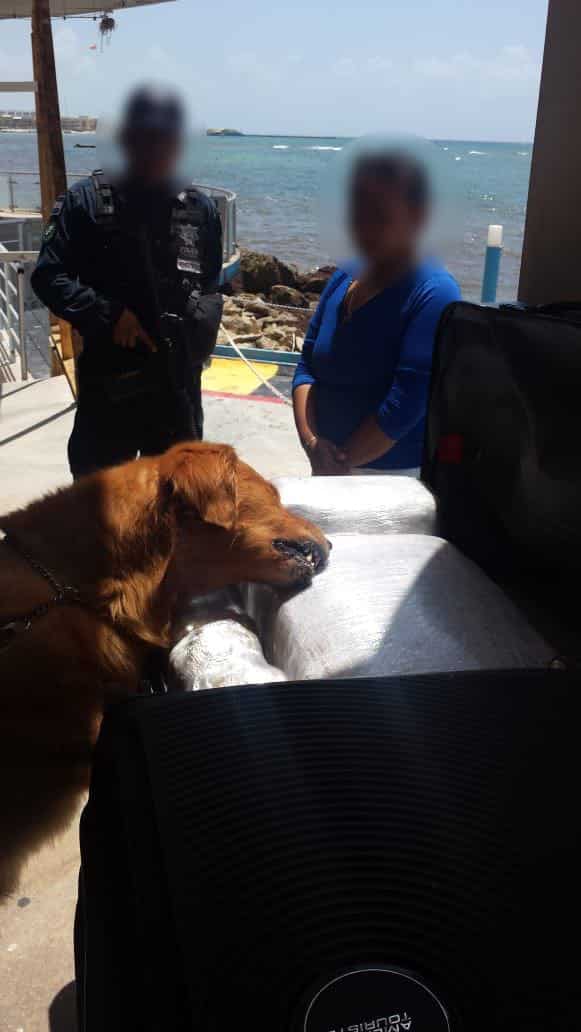 Asegura la Policía Federal 43 kilogramos de presunta marihuana en Playa del Carmen