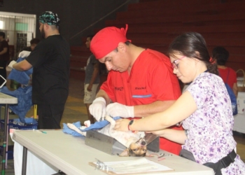 Exigen a próximas autoridades asumir compromiso en cuanto a protección animal