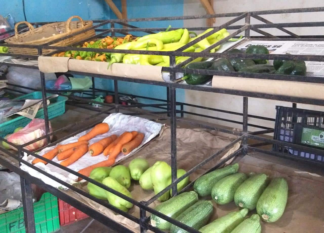Bajan precios de frutas y verduras; morelenses siguen sin poder comprar