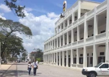 Trabajadores de Gobierno carecen de formación profesional