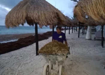 Autoridades, deben destinar fondos para atender el problema del sargazo: Turisteros