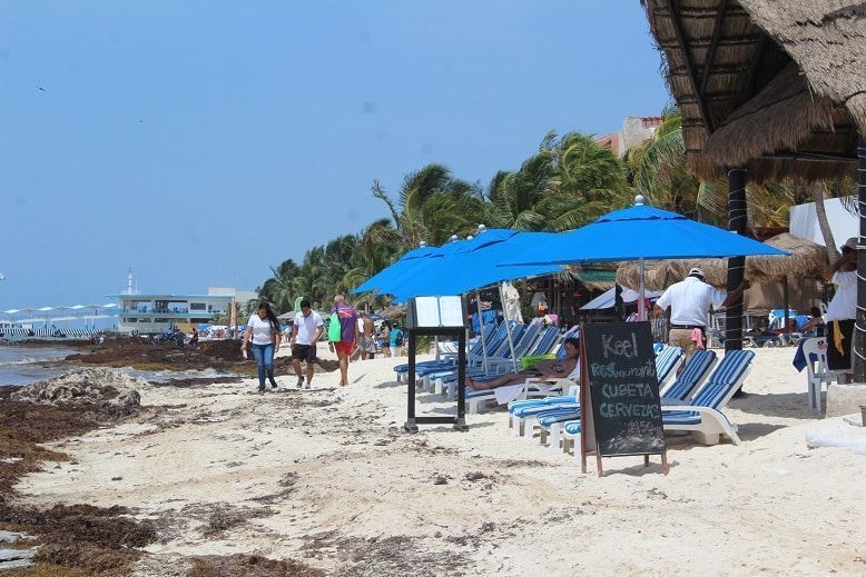 «Que se vaya el sargazo»; imploran turisteros