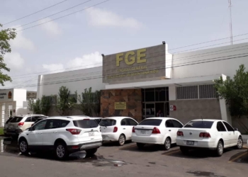 Denuncian ante la Fiscalía a grupo de ‘zoofilicos’ chetumaleños