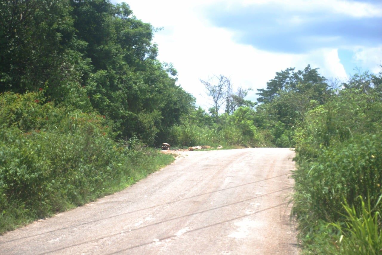 Sexagenario fallece en la comunidad abandonada San José de la montaña