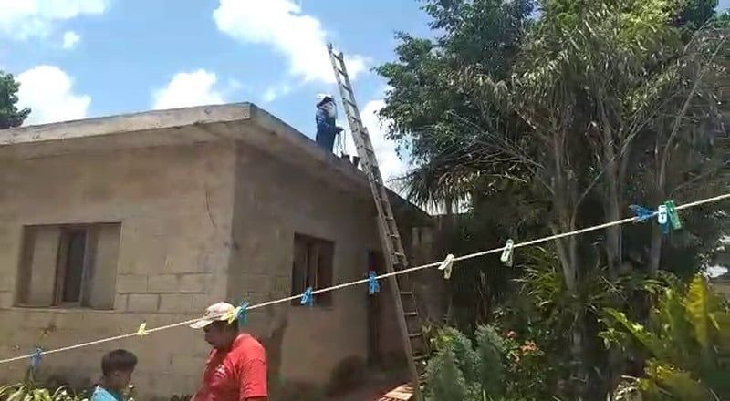 Tremendo susto por abejas africanizadas