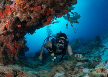 Prestadores de servicios, piden agilizar regularización del buceo