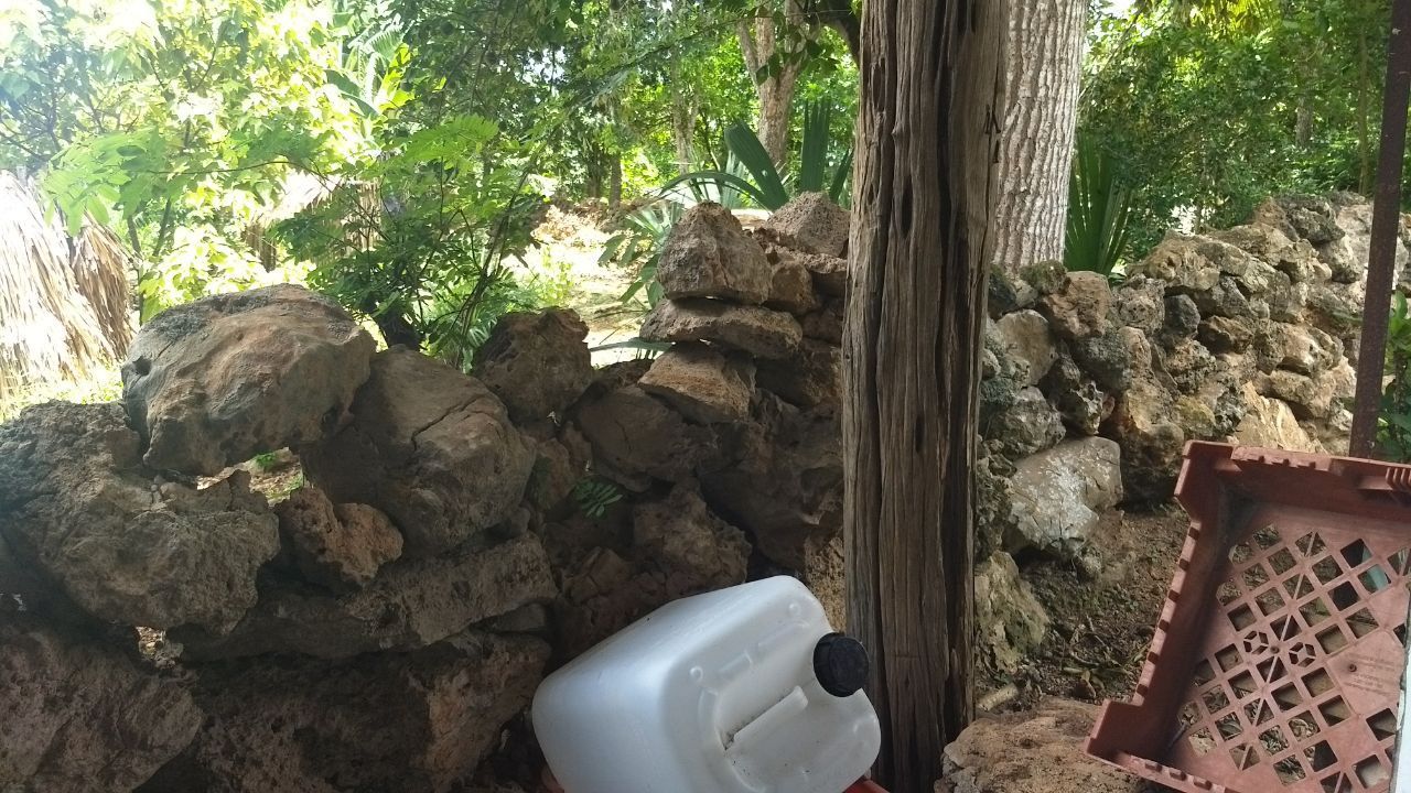 Cachan en infraganti a menor de edad en pleno acto de rapiña
