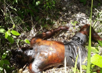 Bacalar Cementerio