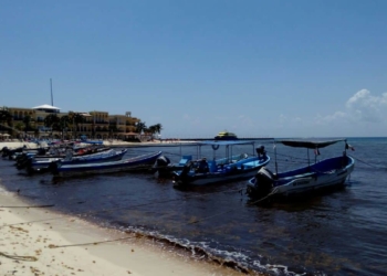 Presentan proyecto para hacerle frente al recale de sargazo