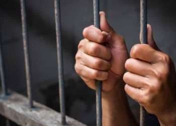 Detenido y preso “El Fefe”, líder de la organización criminal “Los Pelones” operaba en Cancún