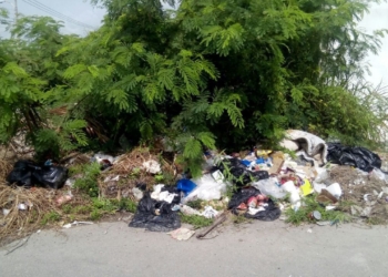 Vecinos de Arboledas denuncian tiradero de basura