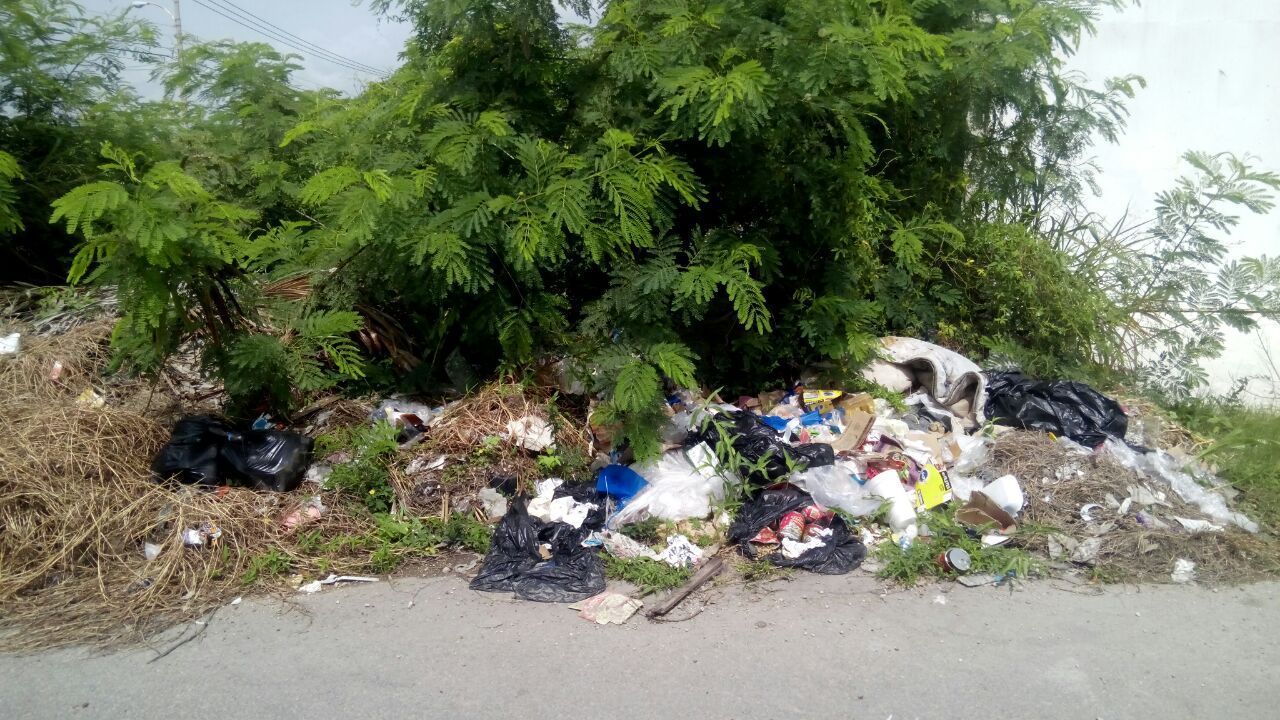 Vecinos de Arboledas denuncian tiradero de basura