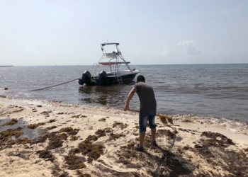 Sargazo, y otros factores, inciden en bajas reservaciones para verano