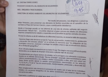 Interponen denuncia por tala de árboles en Solidaridad