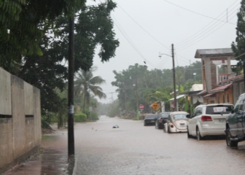“Paralizan” lluvias actividades en Kantunilkín