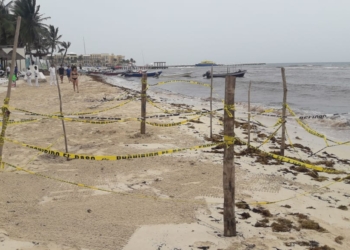 Socavón en Playa del Carmen se cerró solo