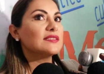 Clama hoteleros del sur fortalecimiento económico