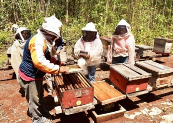 Apicultores por la calidad de miel