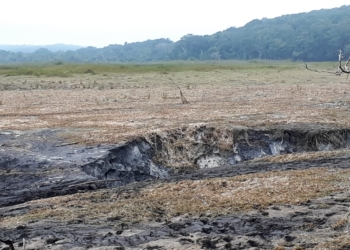 UMA prácticamente descartado en la Laguna de Chakanbakán