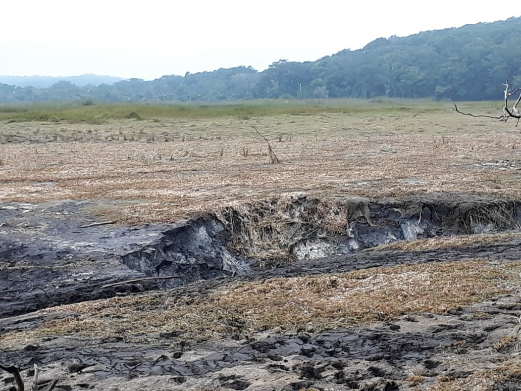 UMA prácticamente descartado en la Laguna de Chakanbakán