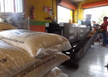 Tortilla podría subir de precio