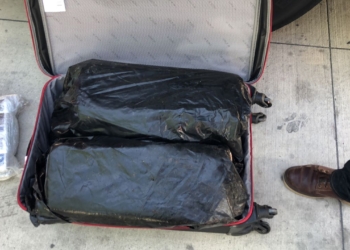 Un cargamento de 20 kilos marihuana en Playa del Carmen