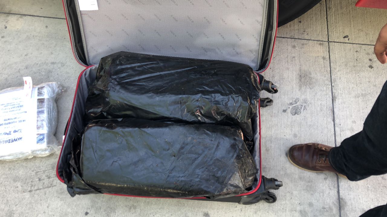 Un cargamento de 20 kilos marihuana en Playa del Carmen