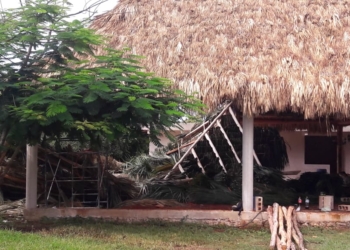 Colapso de palapa deja tres heridos en Morelos