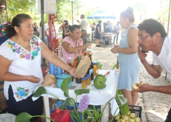 Se Consolida Tianguis Alternativo Valladolid