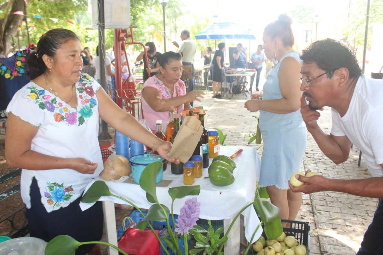 Se Consolida Tianguis Alternativo Valladolid