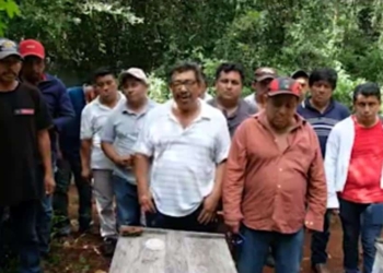 Defenderán la actividad apícola del municipio