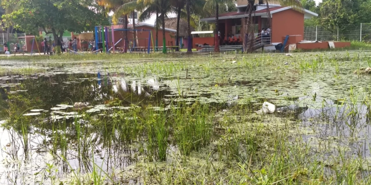Escuela preescolar bajo el agua