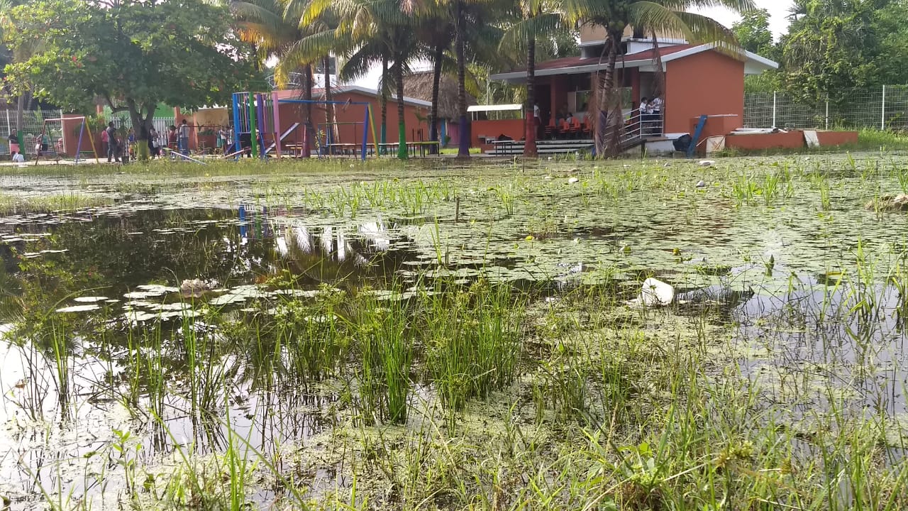 Escuela preescolar bajo el agua