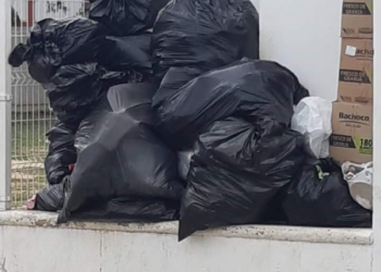 Chetumal  con serio problema con la basura doméstica
